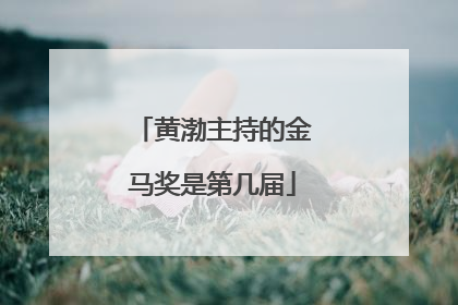 黄渤主持的金马奖是第几届