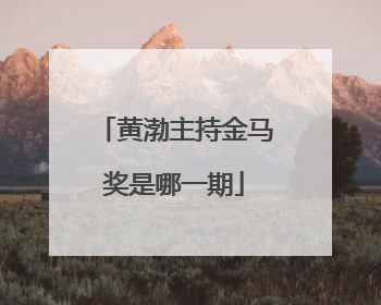 黄渤主持金马奖是哪一期