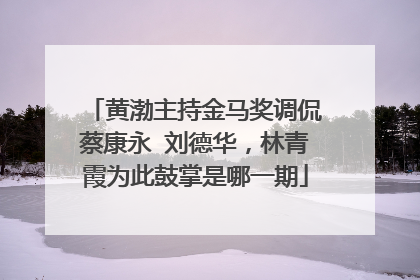 黄渤主持金马奖调侃蔡康永 刘德华,林青霞为此鼓掌是哪一期