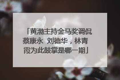黄渤主持金马奖调侃蔡康永 刘德华，林青霞为此鼓掌是哪一期