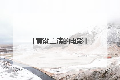 黄渤主演的电影