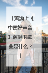 黄渤上《中国好声音》演唱的歌曲是什么?