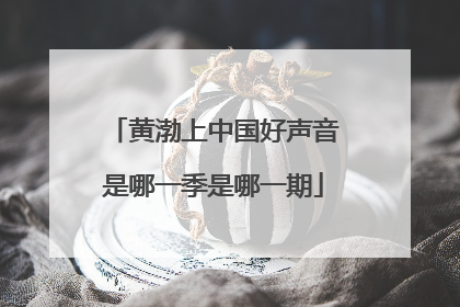 黄渤上中国好声音是哪一季是哪一期