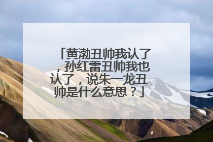 黄渤丑帅我认了，孙红雷丑帅我也认了，说朱一龙丑帅是什么意思？