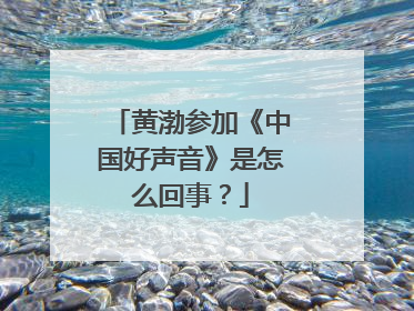 黄渤参加《中国好声音》是怎么回事?