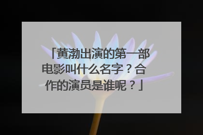 黄渤出演的第一部电影叫什么名字?合作的演员是谁呢?