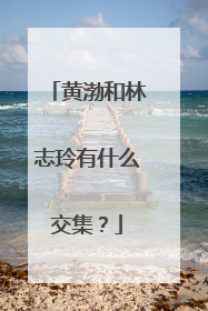 黄渤和林志玲有什么交集？