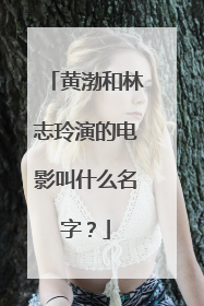 黄渤和林志玲演的电影叫什么名字？