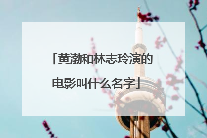 黄渤和林志玲演的电影叫什么名字