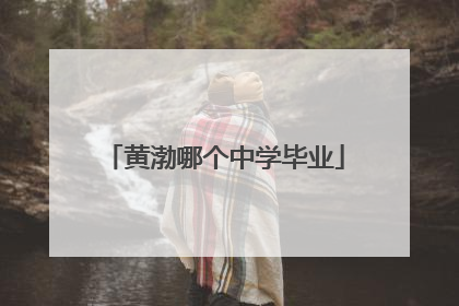 黄渤哪个中学毕业