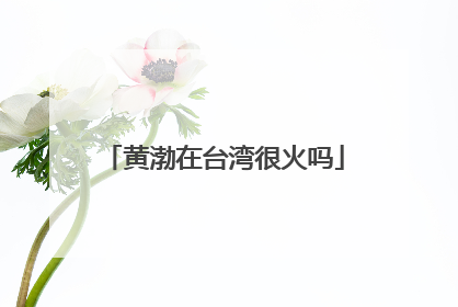 黄渤在台湾很火吗