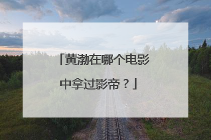 黄渤在哪个电影中拿过影帝?