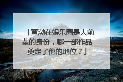 黄渤在娱乐圈是大前辈的身份,哪一部作品奠定了他的地位?