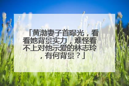 黄渤妻子首曝光,看看她背景实力,难怪看不上对他示爱的林志玲,有何背景?