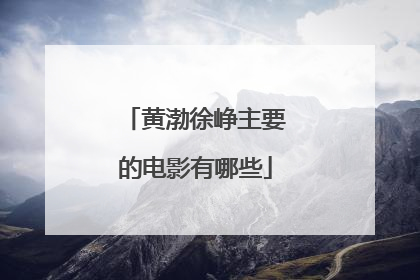 黄渤徐峥主要的电影有哪些