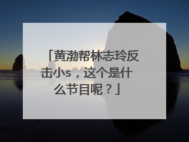 黄渤帮林志玲反击小s，这个是什么节目呢？