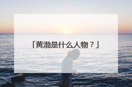 黄渤是什么人物？