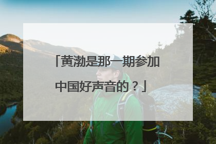 黄渤是那一期参加中国好声音的?