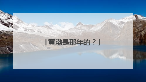 黄渤是那年的？