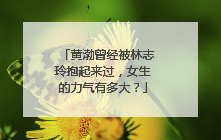 黄渤曾经被林志玲抱起来过，女生的力气有多大？