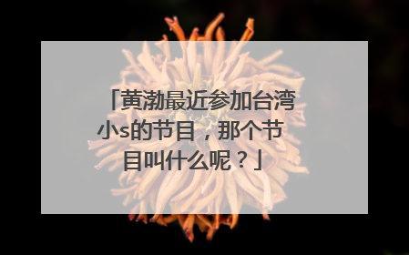 黄渤最近参加台湾小s的节目，那个节目叫什么呢？