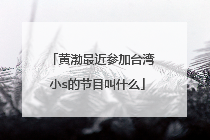 黄渤最近参加台湾小s的节目叫什么