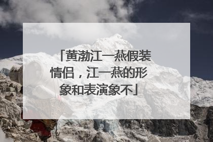 黄渤江一燕假装情侣，江一燕的形象和表演象不