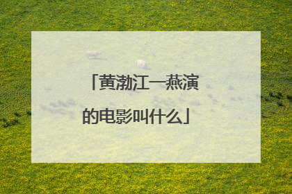 黄渤江一燕演的电影叫什么