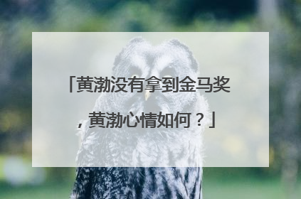 黄渤没有拿到金马奖,黄渤心情如何?