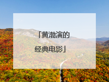 黄渤演的经典电影