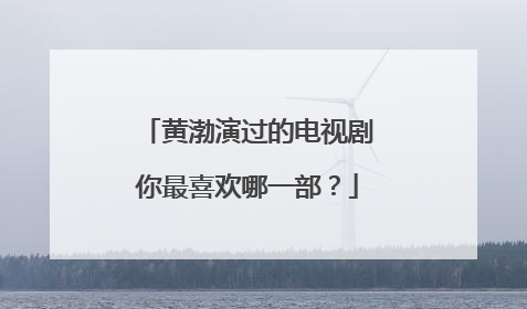 黄渤演过的电视剧你最喜欢哪一部？