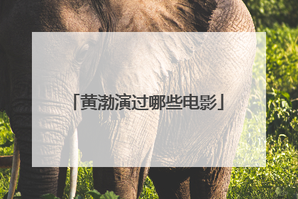 黄渤演过哪些电影