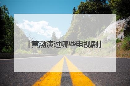 黄渤演过哪些电视剧