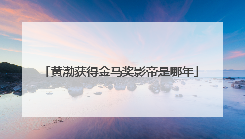黄渤获得金马奖影帝是哪年