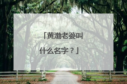 黄渤老婆叫什么名字？