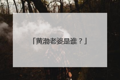 黄渤老婆是谁？