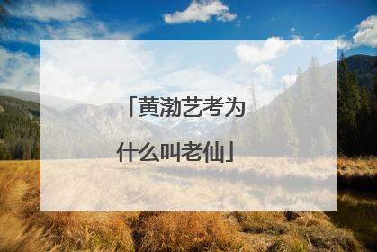 黄渤艺考为什么叫老仙