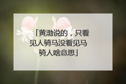 黄渤说的,只看见人骑马没看见马骑人啥意思