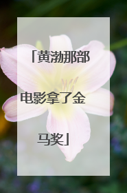 黄渤那部电影拿了金马奖