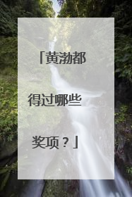 黄渤都得过哪些奖项？