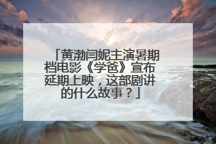 黄渤闫妮主演暑期档电影《学爸》宣布延期上映,这部剧讲的什么故事?