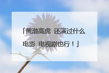 黄渤高虎 还演过什么电影 电视剧也行！