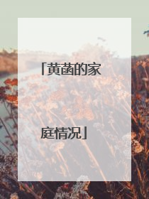 黄菡的家庭情况