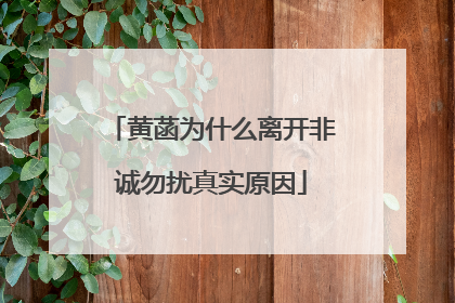 黄菡为什么离开非诚勿扰真实原因