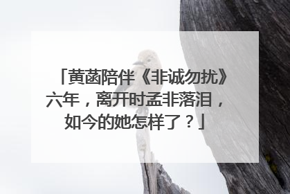 黄菡陪伴《非诚勿扰》六年，离开时孟非落泪，如今的她怎样了？