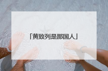 黄致列是那国人
