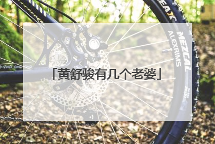 黄舒骏有几个老婆