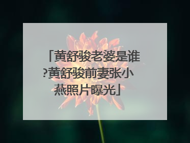 黄舒骏老婆是谁?黄舒骏前妻张小燕照片曝光