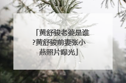 黄舒骏老婆是谁?黄舒骏前妻张小燕照片曝光