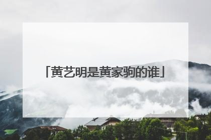 黄艺明是黄家驹的谁